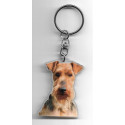 WELSH TERRIER  DOG / Key Fobs