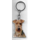 WELSH TERRIER  DOG / Key Fobs