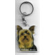 YORKSHIRE TERRIER DOG / Key Fobs