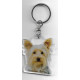 YORKSHIRE TERRIER DOG / Key Fobs