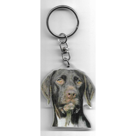 BRAQUE DANOIS  Chien porte clés