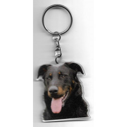 BEAUCERON DOG  / Key Fobs