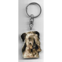 CESKY TERRIER  DOG / Key Fobs