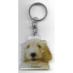 COCKAPOO DOG / Key Fobs