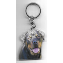 ROTTWEILLER DOG / Key Fobs