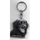 GOLDEN RETRIEVER DOG / Key Fobs