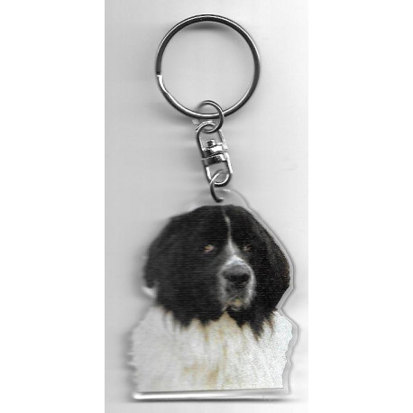 LANDSER  DOG / Key Fobs