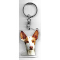 PODENCO porte clés Chien