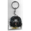 SCHAPENDOES DOG / Key Fobs