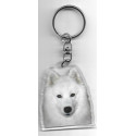 SAMOYEDE  porte clés Chien