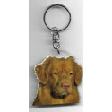 NOVA SCOTIA RETRIEVER DOG / Key Fobs