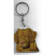 NOVA SCOTIA RETRIEVER DOG / Key Fobs