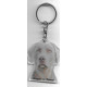 WEIMAR pointer DOG / Key Fobs