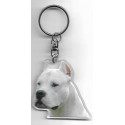 ARGENTINEAN DOGO / Key Fobs