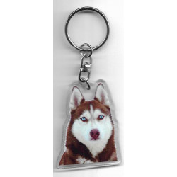 HUSKY porte clés Chien