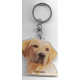 LABRADOR  DOG / Key Fobs