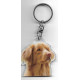 NOVA SCOTIA RETRIEVER DOG / Key Fobs