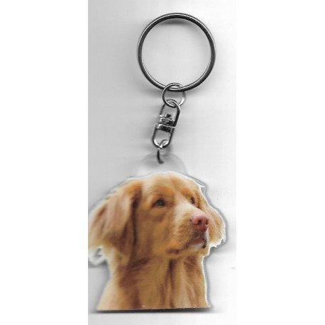 NOVA SCOTIA RETRIEVER DOG / Key Fobs