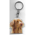 NOVA SCOTIA RETRIEVER DOG / Key Fobs