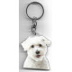 Coton de Tuléar CHIEN porte clés