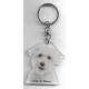 Coton de Tuléar DOG / Key Fobs