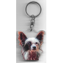 CHINESE DOG / Key Fobs