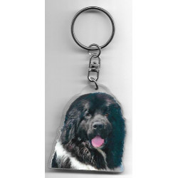 NEWFOUNLAND RESCUE DOG / Key Fobs