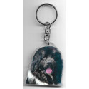 NEWFOUNLAND RESCUE DOG / Key Fobs