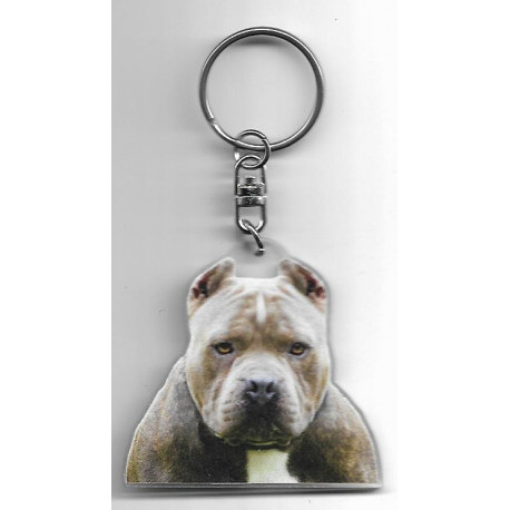 PITBULL porte clés Chien