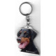 DOBERMAN DOG / Key Fobs