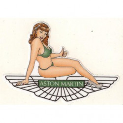 ASTON MARTIN right Pin Up laminated decal