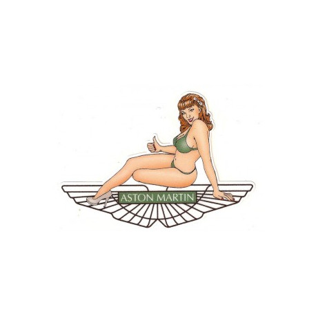 ASTON MARTIN left Pin Up laminated decal