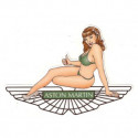 ASTON MARTIN left Pin Up laminated decal