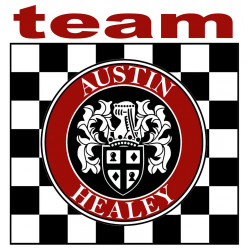 AUSTIN HEALEY TEAM laminated decal