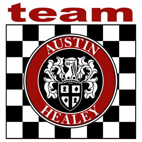 AUSTIN HEALEY TEAM laminated decal