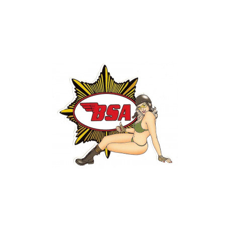 BSA left Pin Up  laminated decal