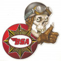 BSA Right Skull  laminated decal