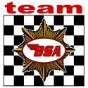 BSA TEAM  laminated decal