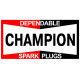 CHAMPION Laminated decal