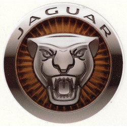 JAGUAR   laminated decal