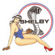 SHELBY  Pin Up droite sticker vinyle laminé