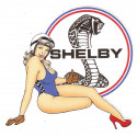 SHELBY  right Pin Up laminated decal