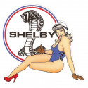 SHELBY  Pin Up gauche sticker vinyle laminé