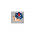 FORD V8  right Pin Up laminated decal