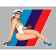 BMW  right Pin Up laminated decal