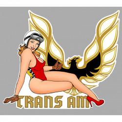 TRANS AM  right Pin Up laminated decal