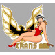 TRANS AM  Pin Up gauche sticker vinyle laminé