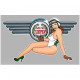 MINI COOPER  left Pin Up laminated decal