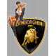 LAMBORGHINI  left Vintage Pin Up laminated decal