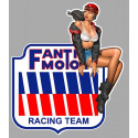 FANTICMOTOR  right Vintage Pin Up laminated decal